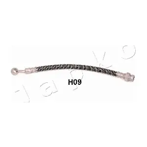 69H09 JAPKO