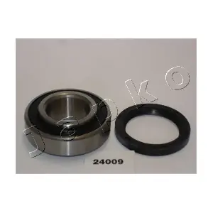 424009 JAPKO
