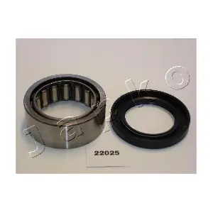 422025 JAPKO