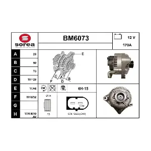 BM6073 SERA
