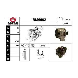 BM6002 SERA