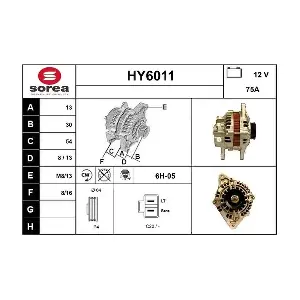 HY6011 SERA