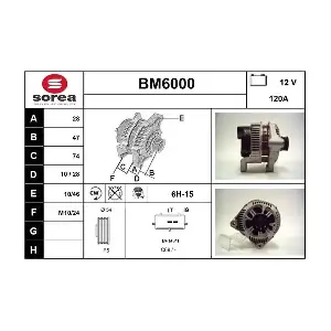 BM6000 SERA