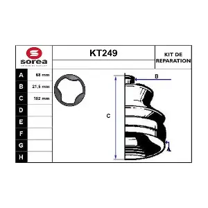KT249 SERA
