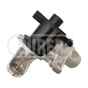 VR81179 DURER