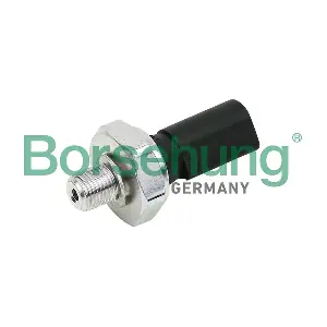 B13138 Borsehung