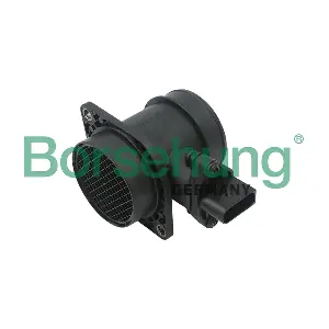 B13665 Borsehung