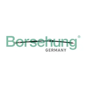B10947 Borsehung