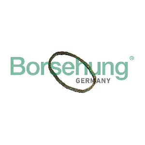 B12767 Borsehung