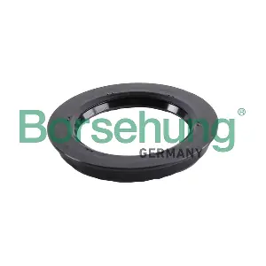 B17835 Borsehung