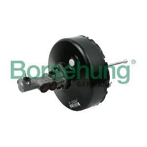 B11386 Borsehung