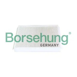 B12294 Borsehung