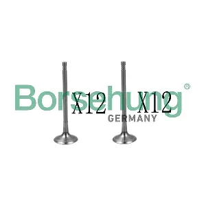 B18639 Borsehung