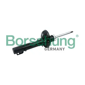 B12134 Borsehung