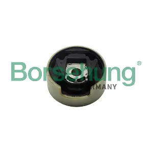 B11355 Borsehung