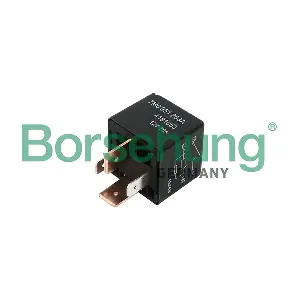 B17820 Borsehung