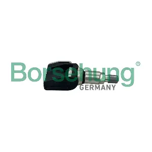 B13002 Borsehung