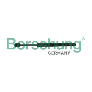 B13098 Borsehung