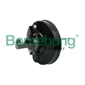 B11384 Borsehung