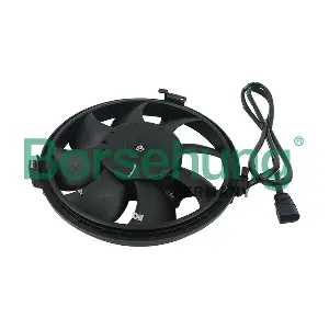 B11487 Borsehung