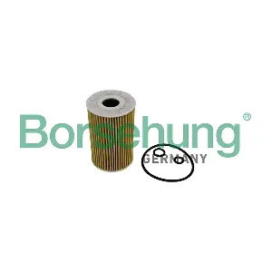B10535 Borsehung