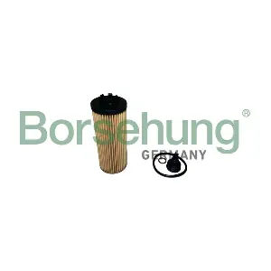 B10437 Borsehung