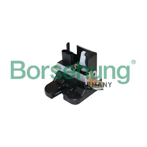 B10276 Borsehung