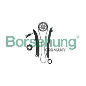 B16297 Borsehung
