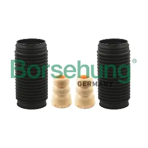 B10028 Borsehung