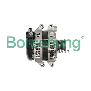 B12668 Borsehung