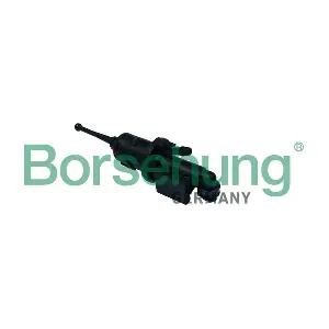 B11513 Borsehung
