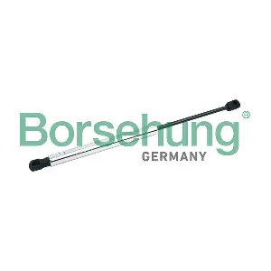 B18449 Borsehung