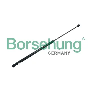 B14187 Borsehung