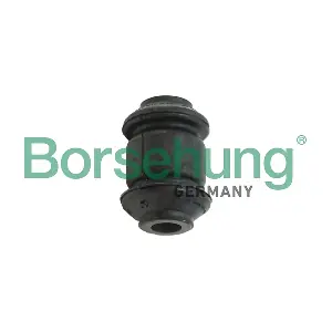 B19148 Borsehung