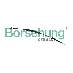 B11517 Borsehung