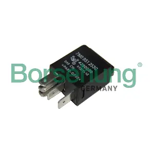 B17811 Borsehung