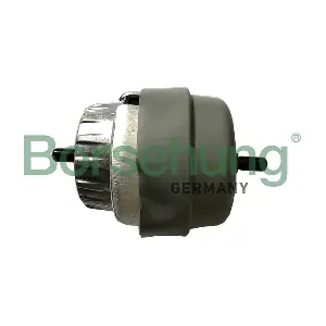B19136 Borsehung