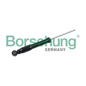 B17896 Borsehung