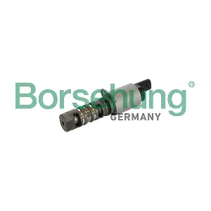 B11866 Borsehung