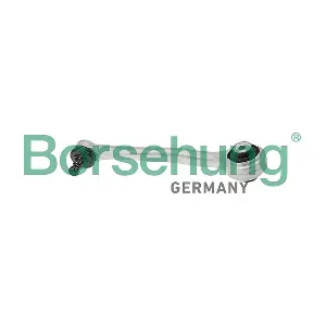 B10847 Borsehung