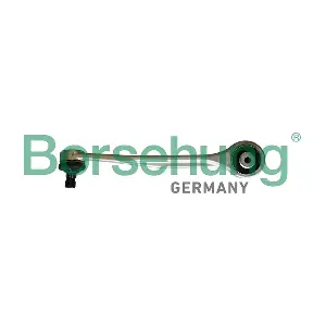 B10836 Borsehung
