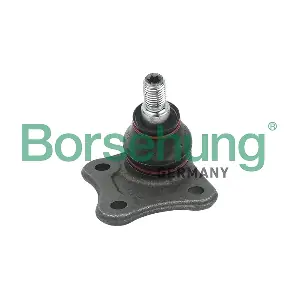 B11335 Borsehung