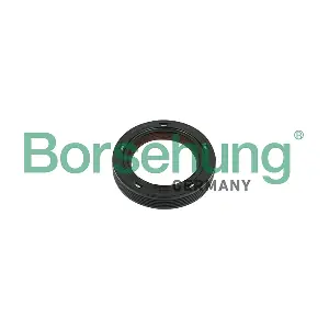 B18729 Borsehung