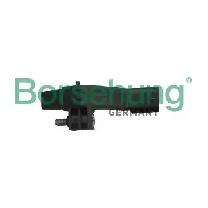 B12319 Borsehung