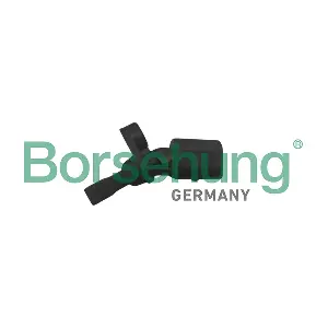B12867 Borsehung