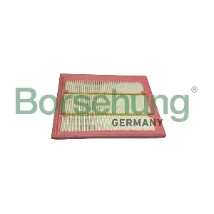 B12441 Borsehung