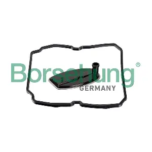 B12739 Borsehung