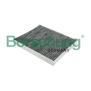 B12799 Borsehung