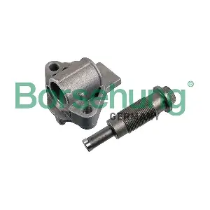 B12593 Borsehung