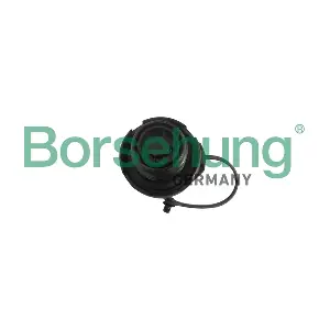 B18790 Borsehung